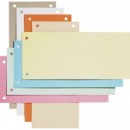 Separatoare carton pentru biblioraft, 190g/mp, 105 x 240 mm, 100/set