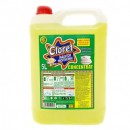 Clor inalbitor Profesional CLORET 5 L