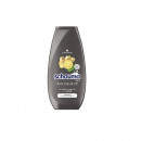 Sampon Schauma Men Intense cu extract de ghimbir pentru combaterea matretii excesive, 250 ml