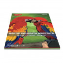 Hartie colorata A4, 50 coli 5 culori DACO 80g/mp