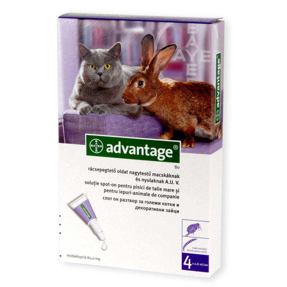 Advantage cat >4kg