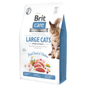 Brit Care Cat GF Large Cats Power and Vitality 2 kg