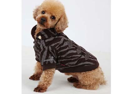Haina caini Puppia Caprice