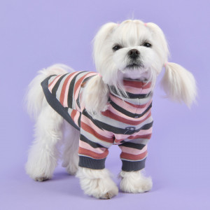 Haina caini Puppia Bryson PAUD-TS1844