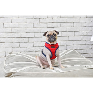 Ham caini Puppia Mischief A