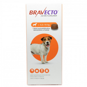 Tableta deparazitare externa Bravecto caini 4.5-10kg