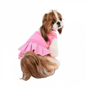 Haina caini Puppia Naunet