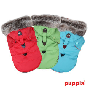 Haina caini Puppia December