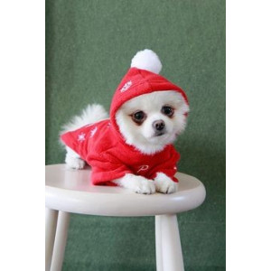 Haina caini Puppia Snowday