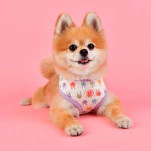 Ham caini Hopper Pinkaholic