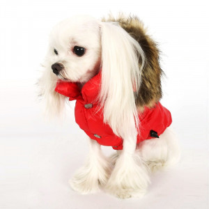 Vesta caini PUPPY ANGEL- Love Down PA-OW240