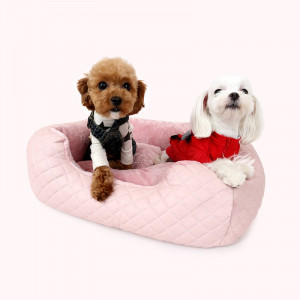 Pat caini Puppy Angel Love Luxury PA-BD096