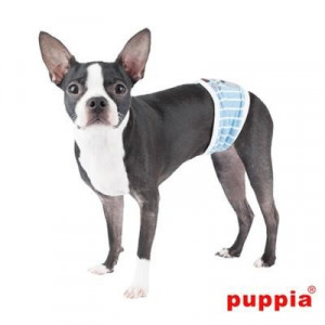 Banda ,,Bune-Maniere'' caini Boomer Puppia