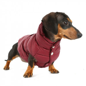 Vesta caini PUPPY ANGEL Love Faux Down PA-OW230 (inchidere capse)