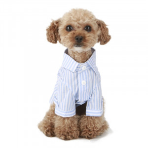 Camasa caini Puppy Angel My baby