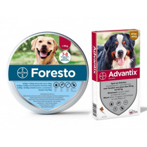 Pachet Foresto L + Advantix 40-60kg