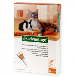 Advantage cat <4kg
