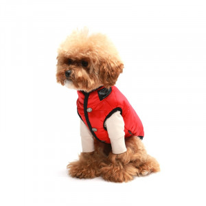 Haina caini Puppy Angel MAC2 PA-OW328