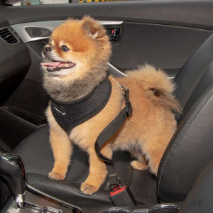 Puppia - Lesa Auto Simple Dog Negru