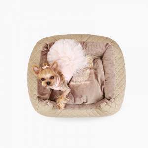 Pat caini Puppy Angel Love Luxury PA-BD096