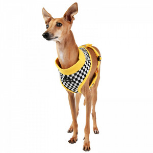 Ham caini Puppia Racer A