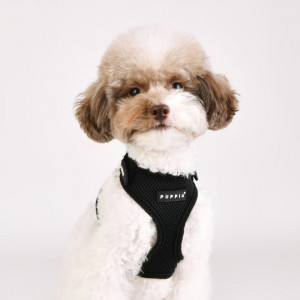 Ham caini Puppia Soft Superior A