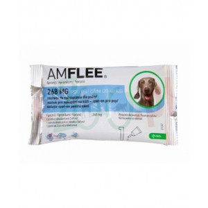 Amflee Dog L 20-40kg