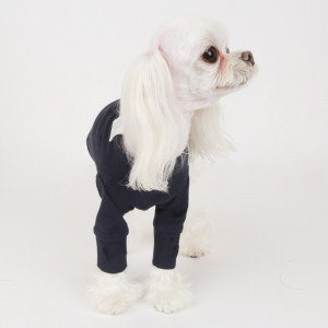 Bluza caini PUPPY ANGEL Daily