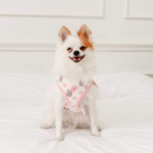 Ham caini Abby Pinkaholic