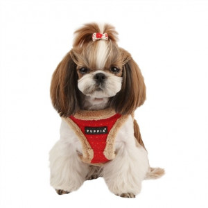Ham caini Puppia Yuppie