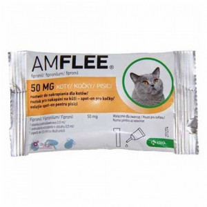 Amflee cat