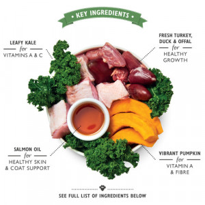 Lilys Kitchen for Dogs Puppy Recipe with Turkey, Duck and Kale 400 g