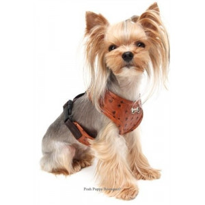 Ham caini PUPPY ANGEL- Du Angione