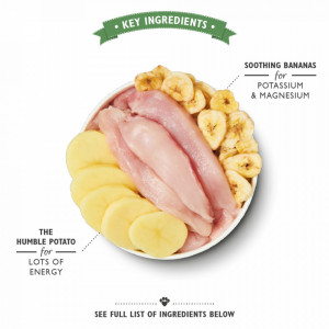 Lilys Kitchen for Dogs Recovery Recipe with Chicken, Potatoes and Bananas 400 g