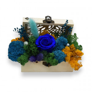Aranjament floral in cutiuta tip cufar, cu trandafir criogenat, pe pat de licheni, accesorizat cu perle, broom si lagurus,