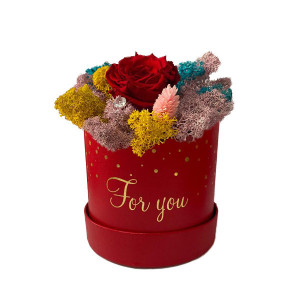 Trandafir criogenat Amour Rouge decorat in cutie cu licheni naturali stabilizati