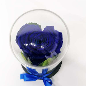 Cupola cu Trandafir Criogenat in forma de Inima Cupidon, albastru
