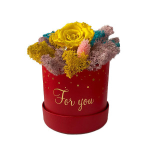 Trandafir criogenat Amour Rouge decorat in cutie cu licheni naturali stabilizati