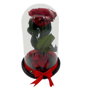 Trandafir Criogenat cu accesorii, blat negru, pe pat de petale, rosu sidefat