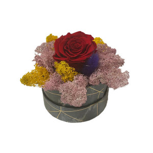 Trandafir criogenat Pastel Perfection decorat in cutie cu licheni naturali stabilizati