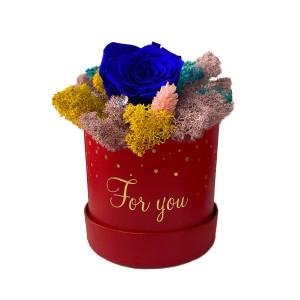 Trandafir criogenat Amour Rouge decorat in cutie cu licheni naturali stabilizati