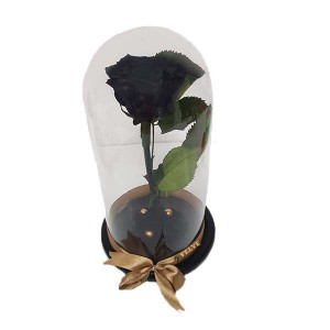 Trandafir Criogenat in cupola pe pat de petale si accesorii, negru