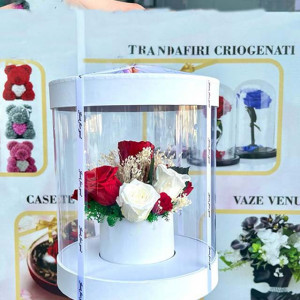 Aranjament floral in cutie cilindrica transparenta, cu 11 trandafiri criogenati pe pat de licheni stabilizati, alb