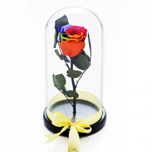 Trandafir Criogenat in cupola de sticla cu blat negru, pe pat de petale, multicolor