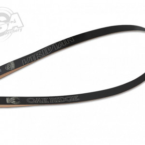 Lame arc HuntingBow Oak Ridge Viridian
