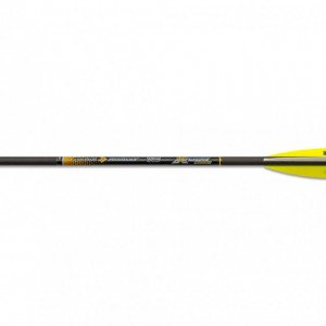 Sageata Arbaleta Skylon X-Bow Carbon - 6 Bucati