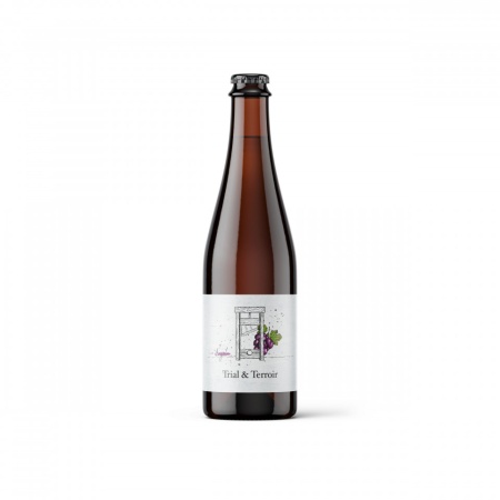 HOP HOOLIGANS - TRIAL & TERROIR FRAGOLA GRAPE 2019