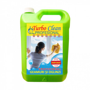 Detergent PROFESIONAL de Geamuri și Oglinzi cu Aquaschield