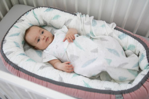 Babynest Velvet & Plumes, Cuib Pentru Bebelusi, Ajustabil, Portabil, Reductor Patut, Tiny Star