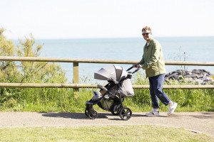 Carucior bebe / copii multifunctional Litetrax DLX 4 Grey Flannel, Joie
